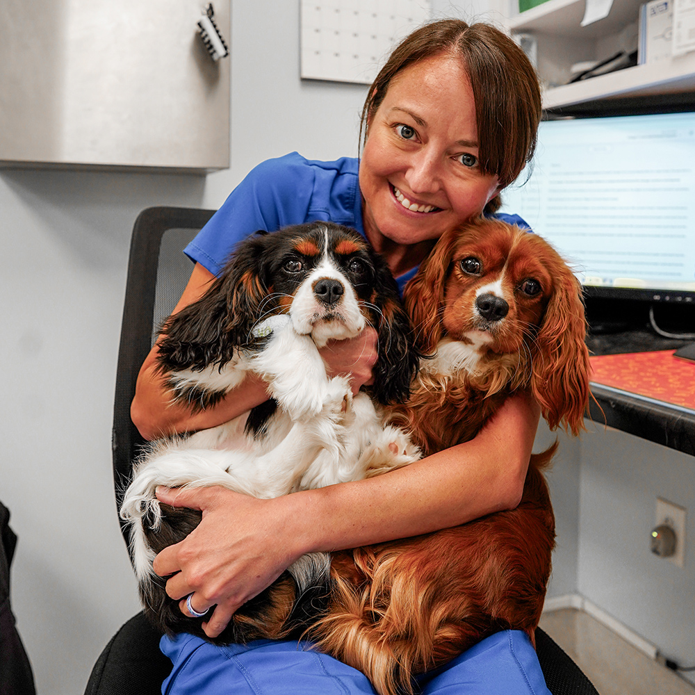 Village Crossroad Animal Hospital veterinarian with two dogs